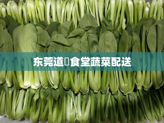 东莞道滘食堂蔬菜配送