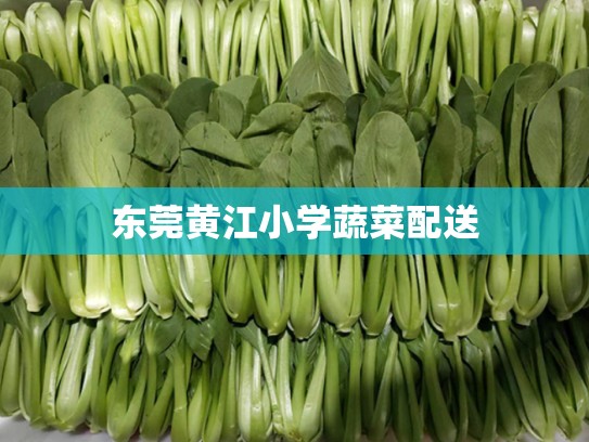 东莞黄江小学蔬菜配送