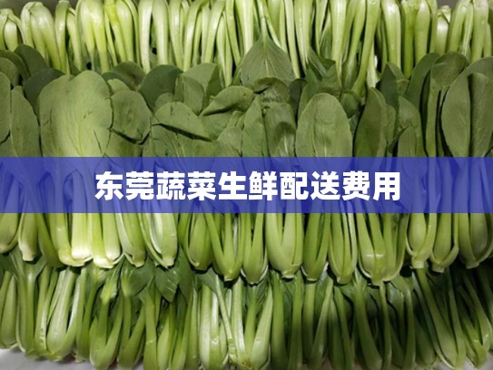 东莞蔬菜生鲜配送费用