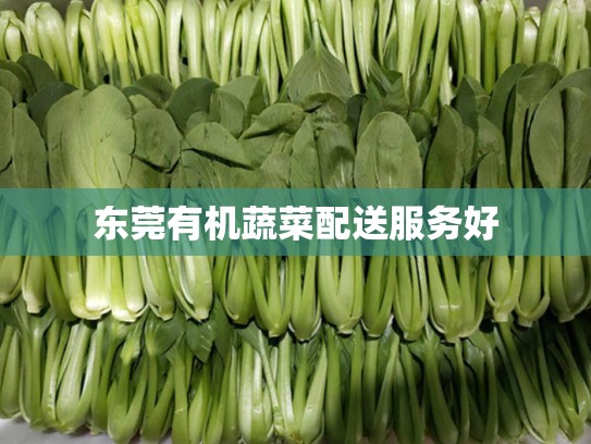 东莞有机蔬菜配送服务好