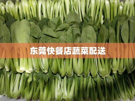 东莞快餐店蔬菜配送