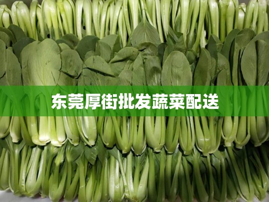 东莞厚街批发蔬菜配送