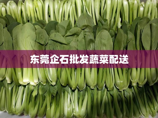 东莞企石批发蔬菜配送