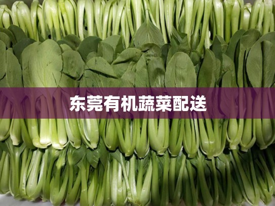 东莞有机蔬菜配送