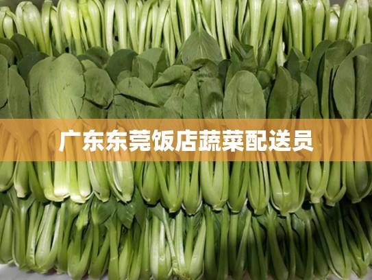 广东东莞饭店蔬菜配送员