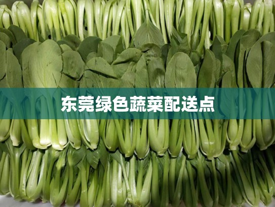 东莞绿色蔬菜配送点
