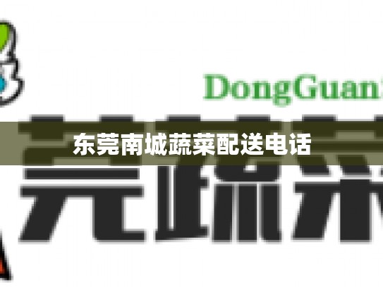 东莞南城蔬菜配送电话