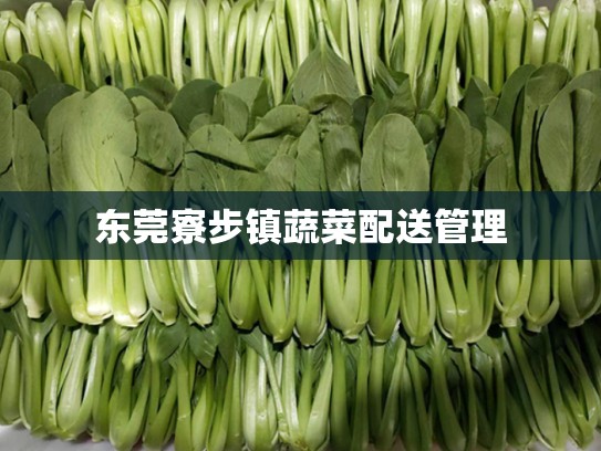 东莞寮步镇蔬菜配送管理