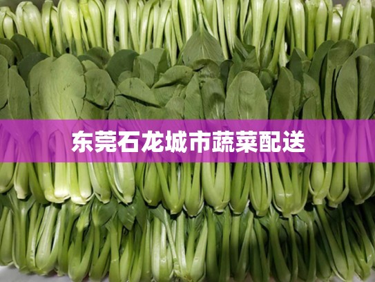 东莞石龙城市蔬菜配送