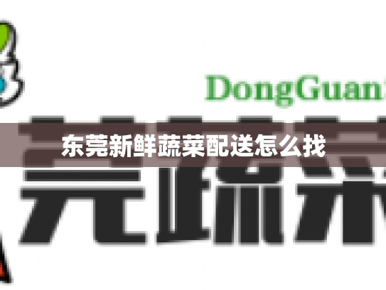 东莞新鲜蔬菜配送怎么找