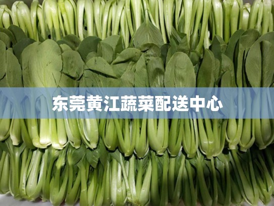 东莞黄江蔬菜配送中心