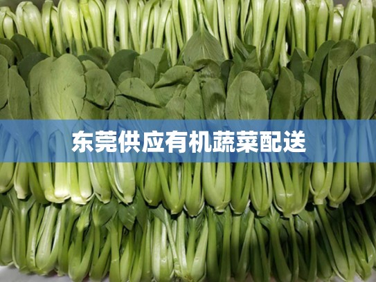 东莞供应有机蔬菜配送