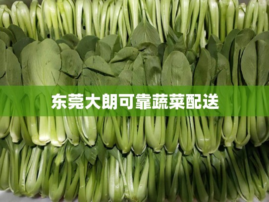 东莞大朗可靠蔬菜配送