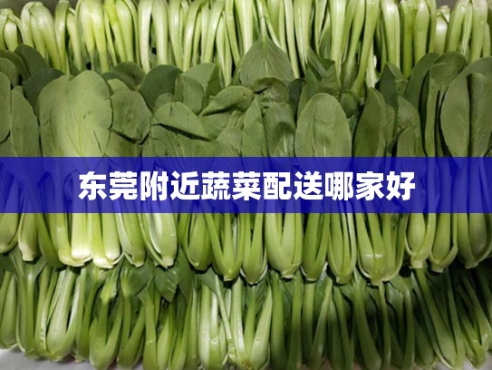 东莞附近蔬菜配送哪家好