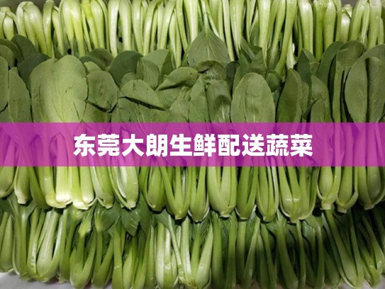 东莞大朗生鲜配送蔬菜