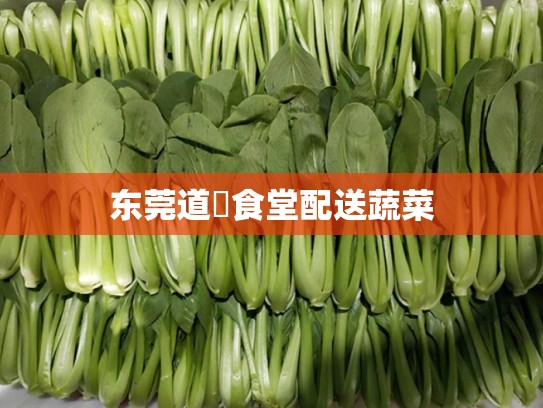 东莞道滘食堂配送蔬菜