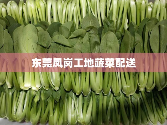 东莞凤岗工地蔬菜配送