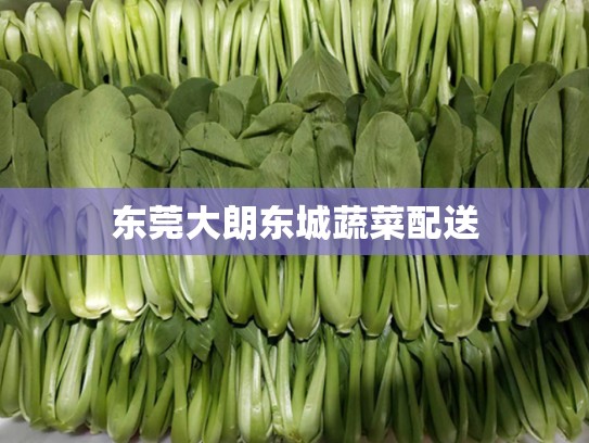 东莞大朗东城蔬菜配送