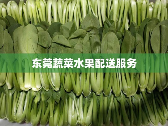 东莞蔬菜水果配送服务