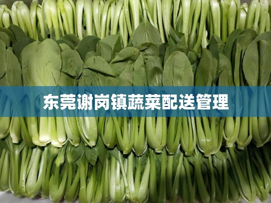 东莞谢岗镇蔬菜配送管理