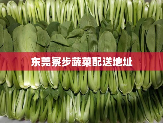 东莞寮步蔬菜配送地址