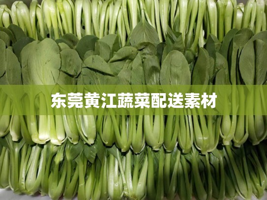 东莞黄江蔬菜配送素材