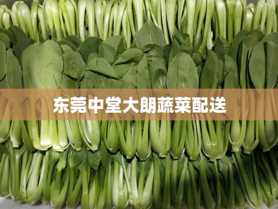 东莞中堂大朗蔬菜配送