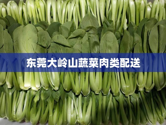 东莞大岭山蔬菜肉类配送