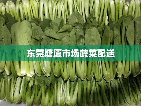 东莞塘厦市场蔬菜配送