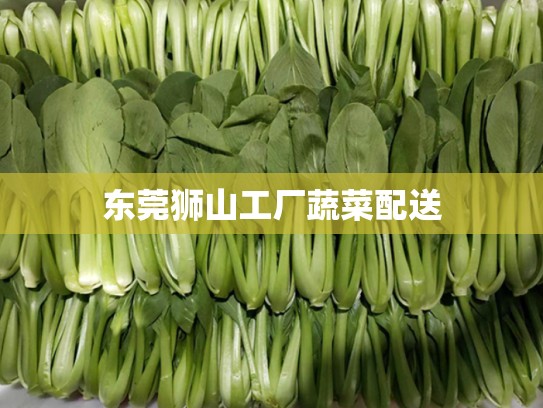 东莞狮山工厂蔬菜配送