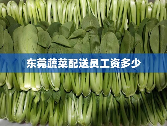 东莞蔬菜配送员工资多少