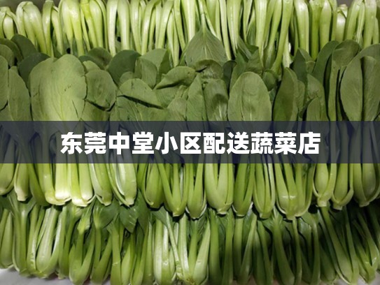 东莞中堂小区配送蔬菜店