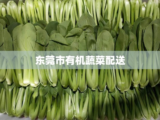 东莞市有机蔬菜配送