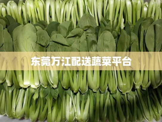 东莞万江配送蔬菜平台