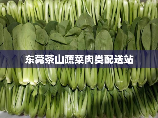 东莞茶山蔬菜肉类配送站