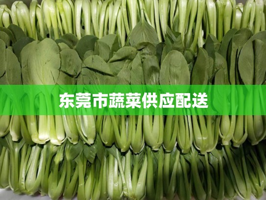 东莞市蔬菜供应配送