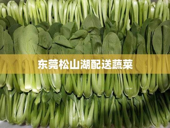东莞松山湖配送蔬菜