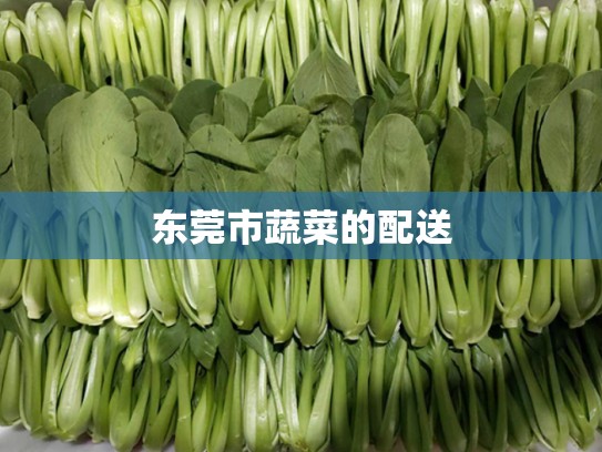 东莞市蔬菜的配送