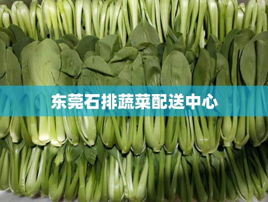 东莞石排蔬菜配送中心