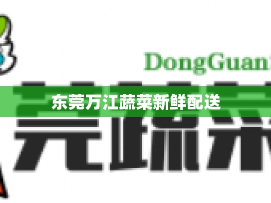 东莞万江蔬菜新鲜配送