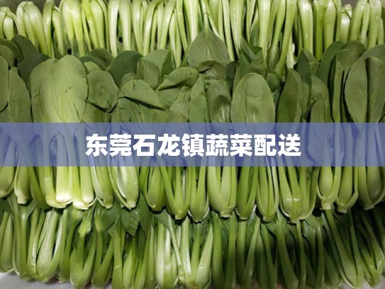 东莞石龙镇蔬菜配送