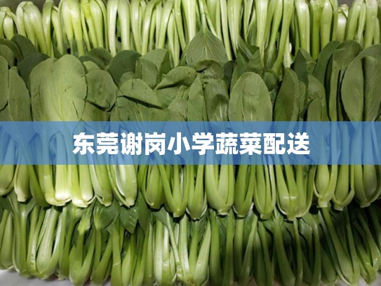 东莞谢岗小学蔬菜配送