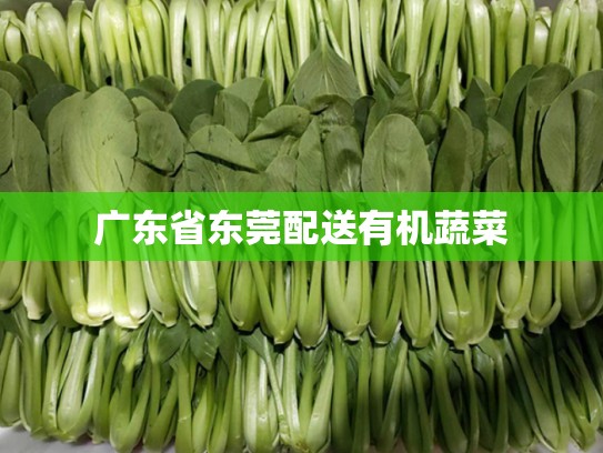 广东省东莞配送有机蔬菜