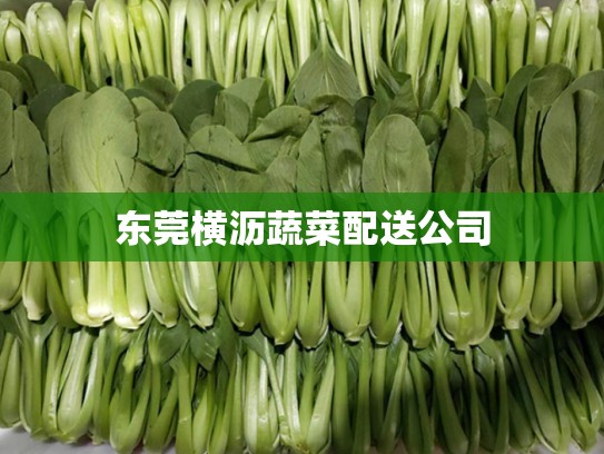 东莞横沥蔬菜配送公司