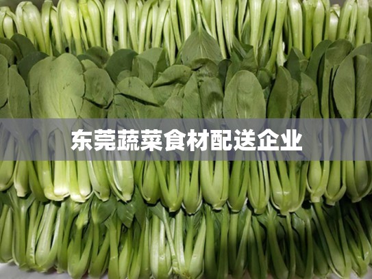 东莞蔬菜食材配送企业