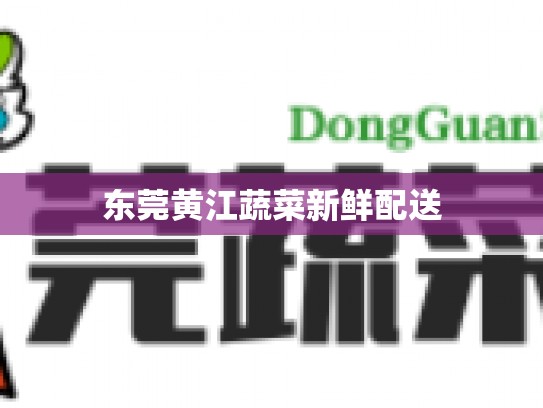 东莞黄江蔬菜新鲜配送