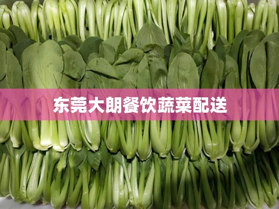 东莞大朗餐饮蔬菜配送