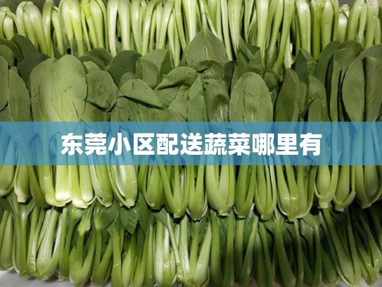 东莞小区配送蔬菜哪里有