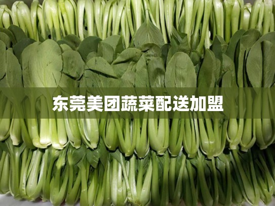 东莞美团蔬菜配送加盟