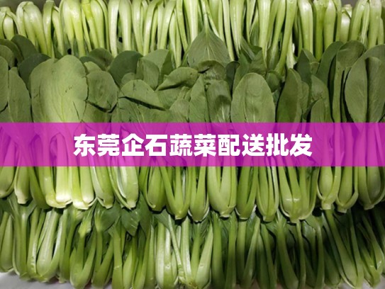 东莞企石蔬菜配送批发
